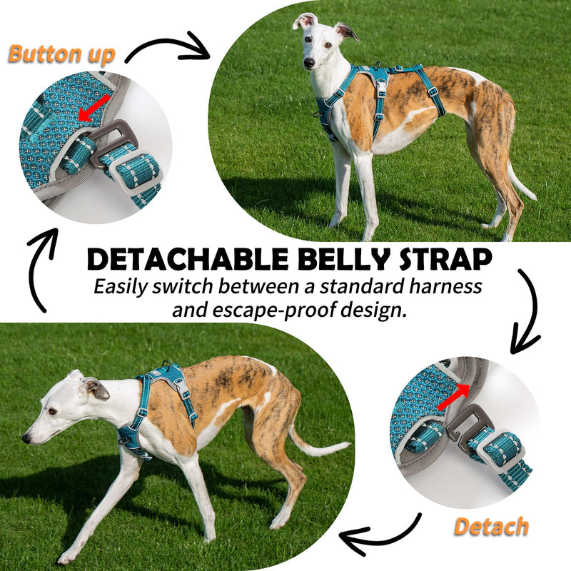 Huntboo Escape Proof Dog Harness – No Pull, No Slip, Fully Reflective, Adjustable 7-Point Design for Small, Medium, and Large Dogs – Lightweight for Outdoor Training & Hiking (Teal, M) Medium (Pack of 1) Teal - PawsPlanet Australia