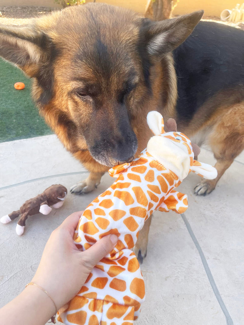 Jalousie 5 Pack No Stuffing Dog Toys Assortment - Holds A Bottle - Dog Toys to Keep Them Busy Assortment Puppy Pet Mutt Dog Toy Dog Toy for Medium Large Dog 5 Pack - w/ Bottle Insert Pouch - PawsPlanet Australia