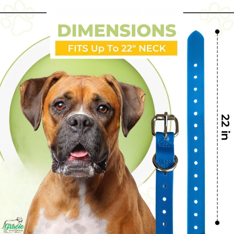 3/4" Replacement Collar - Shock Collar Replacement Collar, Invisible Fence Collar Replacement, Compatible with Educator, Pet Safe, Invisible Fence, PetSafe Collars (Blue, 3/4") Blue 3/4" - PawsPlanet Australia