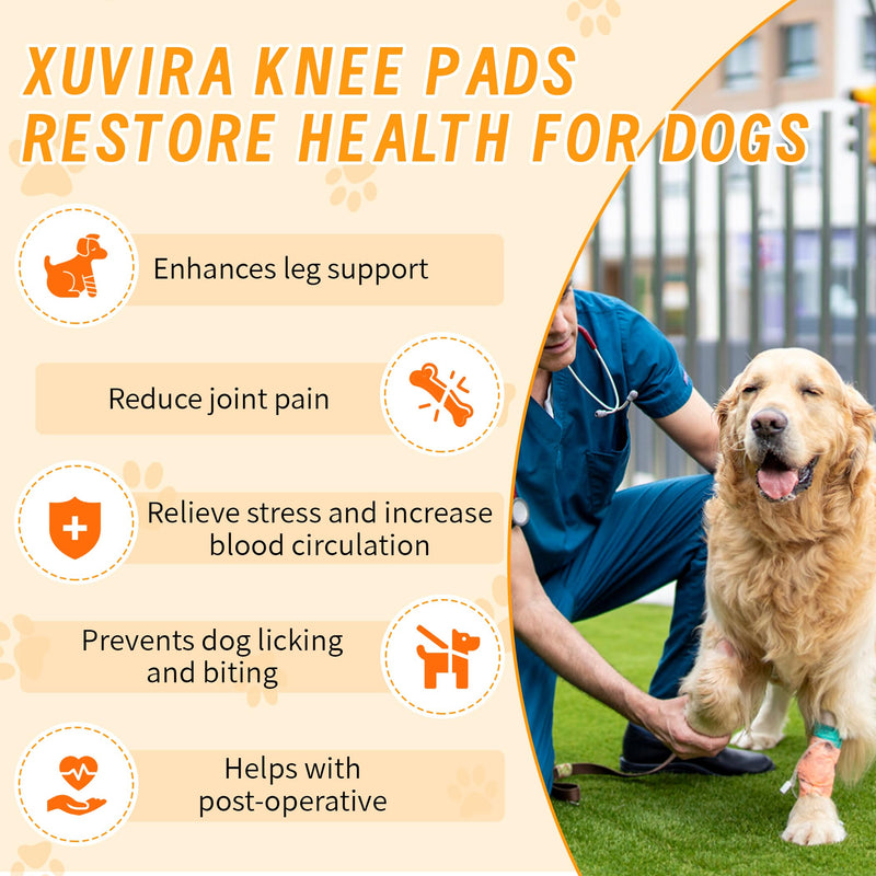 Adjustable Dog Knee Brace for Torn ACL and Ligament Injuries – Durable, Comfortable Support for Hind or Front Legs, Helps Recovery, Stabilizes Ligaments, and Enhances Daily Activity, S