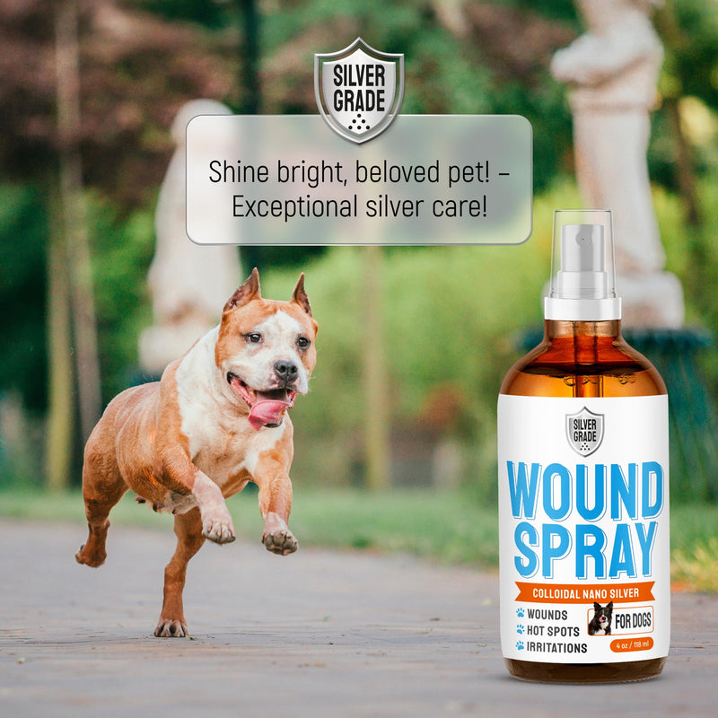 Hot Spot Treatment for Dogs – Silver Wound Spray Helps with Irritation, Bites, Burns, Rashes, Itch, Scratching – Better Use with a Dog Cone – 4 oz - PawsPlanet Australia