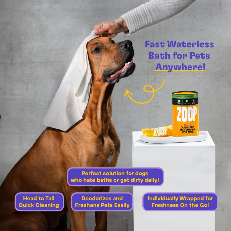 ZOOP XL Pet Wipes for Dogs & Cats – Thick, Huge Bath Wipes for Cleaning, Deodorizing, Conditioning, Wet Dog Wipes for Paws, Butt, Ear, Eye, Face, Whole Body, with Nanosilver-10 Count 10 Count - PawsPlanet Australia