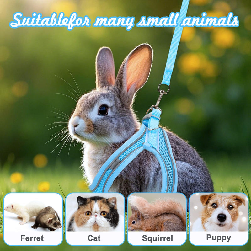 2 Pack Rabbit Harness and Leash Set, Double Buckle Bunnies Harness with Reflective Strips Soft Breathable Mesh Vest Harness for Rabbits Walks Accessories(Blue and Black) XXXS Blue and Black - PawsPlanet Australia