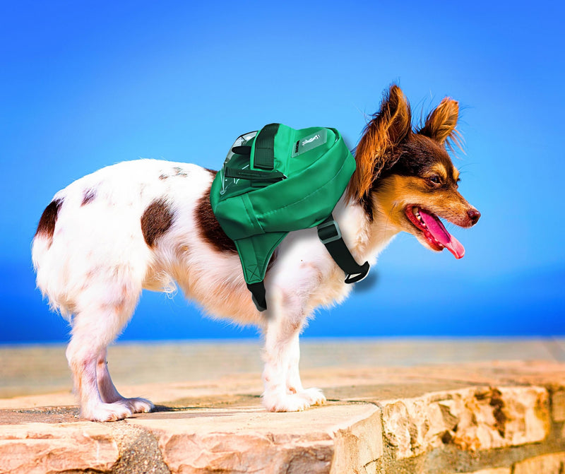 Dog Hiking Backpack Lightweight, Adjustable, and Waterproof Pet Poopbag Holder for Outdoor Adventures,Puppy Training School or Everyday Walks (Small) Small - PawsPlanet Australia