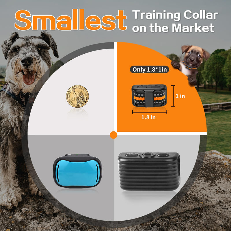 Tiniest Dog Shock Collar, Lightest Dog Training Collar with Remote for Small Dogs 5-15lbs & Medium Large Dogs/Puppies, Waterproof, Rechargeable, 1300ft Range (Orange) Orange - PawsPlanet Australia