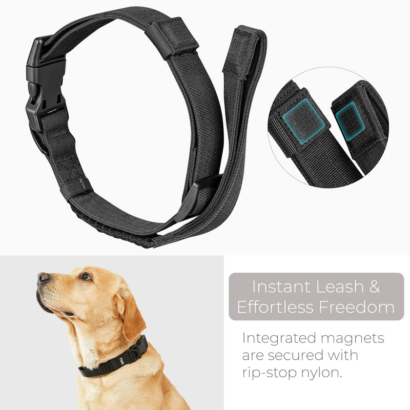 TUG Grab Collar | Integrated Traffic Leash Magnetically Attached for Quick Control (XL/Black) XL Black - PawsPlanet Australia