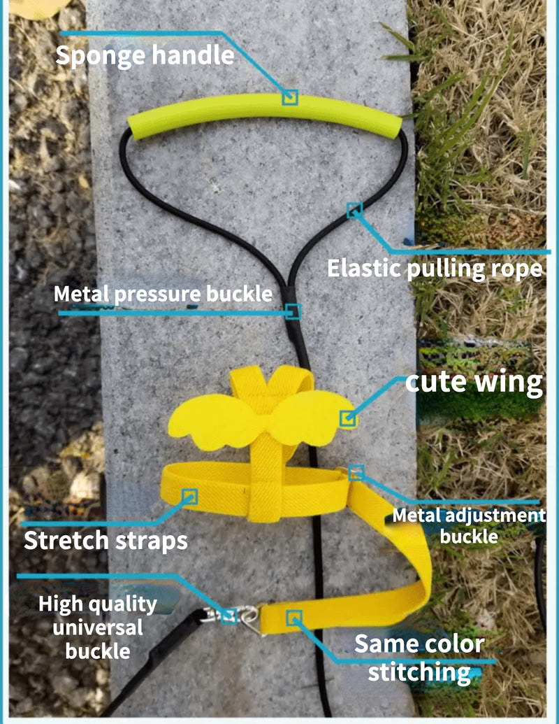 Pet Parrot Bird Harness Leash Adjustable Bird Flying Harness Traction Rope with Cute Wing for Parrots Pigeons Budgerigar Lovebird Cockatiel Mynah Outdoor Training Toy (M, Blue) Medium - PawsPlanet Australia