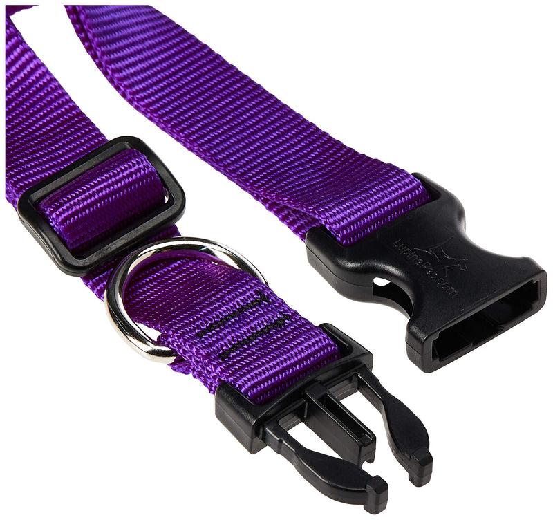LupinePet Basics 3/4" Purple 13-22" Adjustable Collar for Medium and Larger Dogs 3/4"W; 13-22" Neck - PawsPlanet Australia
