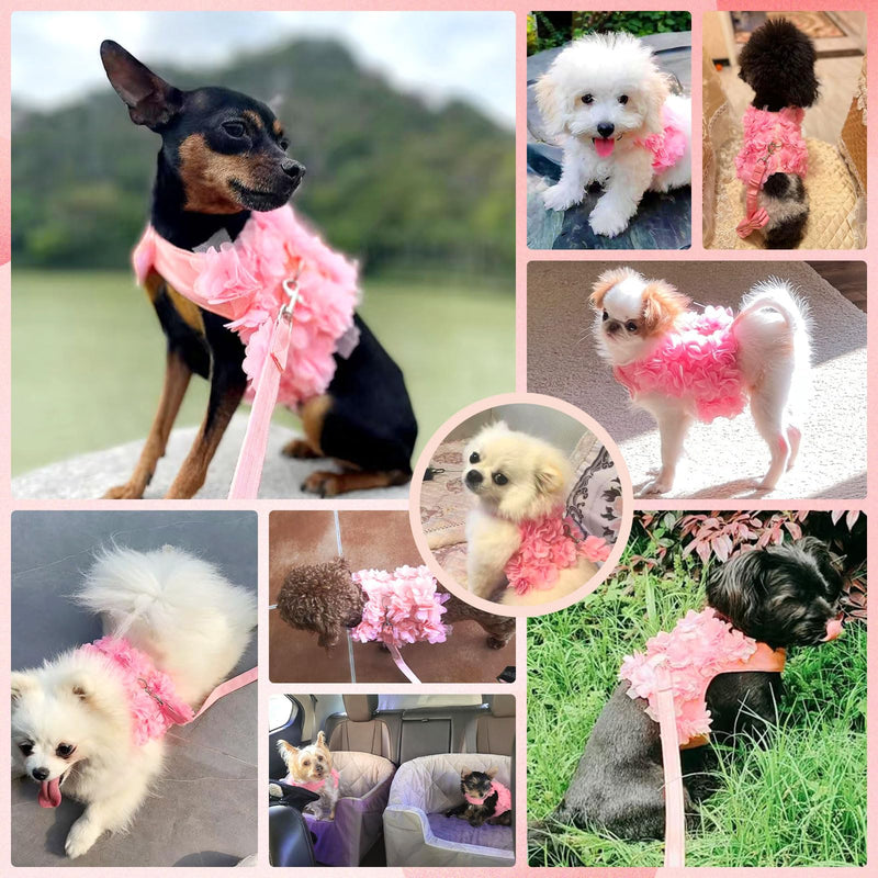 Cute Small Dog Harness and Leash Set Pink Lace Floral Girl Puppy Harness for Small Dogs Cats Soft Mesh Dog Vest Harness Escape Proof Pet Cat Harness Outfits XS (Fit 1-3 lbs; Chest 9.5-11") - PawsPlanet Australia