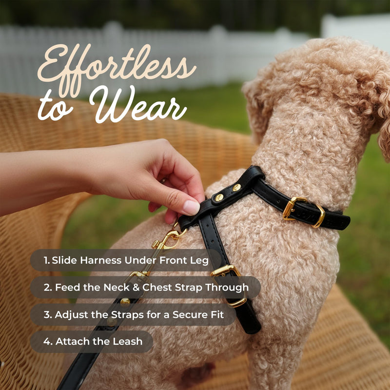 Luxury No Pull Dog Harness and Leash Set, PU Leather Escape-Proof design, Anti-Choke Comfort, Front/Back Attachment, Essential Pet Supplies for Everyday Walks & Training (Harness Leash Set -Black, XL) Harness Leash Set -Black XL-ExtraLarge - PawsPlanet Australia