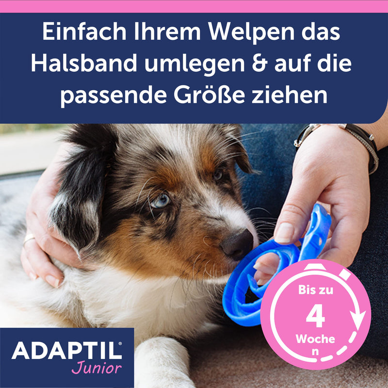 ADAPTIL Junior Puppy Collar - Blue, Size S, For Puppies Up To 37.5kg/15kg, Supports Acclimatization & Training, Uses Dog Appeasing Pheromones, Recommended For All Breeds pheromone collar