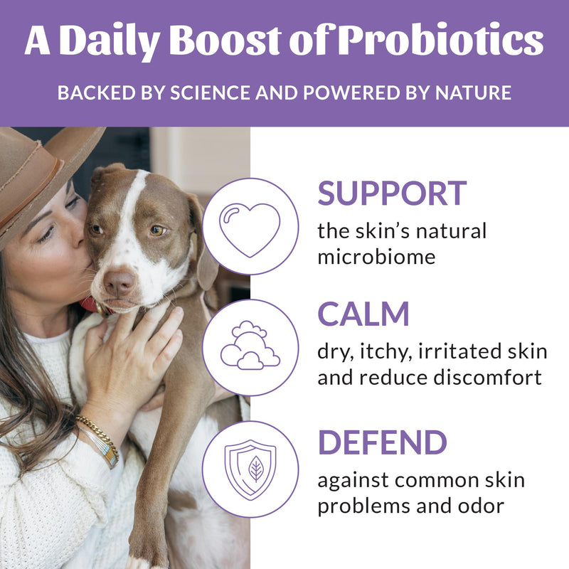 Skout's Honor Probiotic Pet Detangler Spray - Hydrating & Conditioning with Avocado Oil, 97% Natural, Paraben & Sulfate-Free, softens for a More brushable Coat, Daily Use, 8oz, Lavender, 2-Pack - PawsPlanet Australia