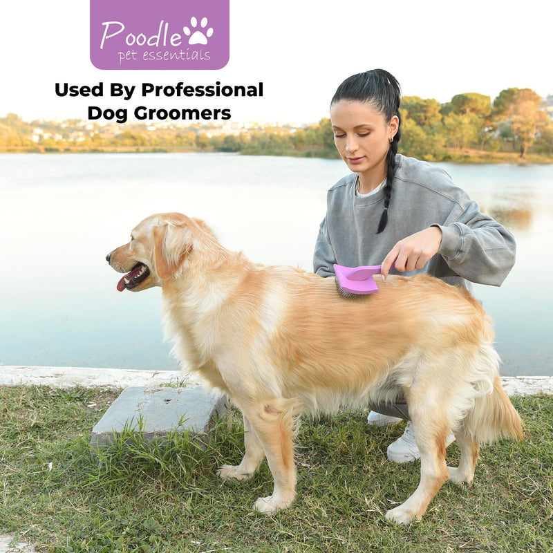 Poodle Pet Dog Grooming Rake + Large Slicker Brush Bundle - PawsPlanet Australia