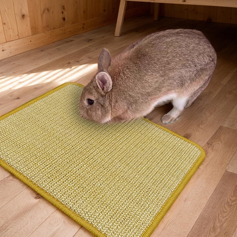 DYAUS Bunny Scratch Pads, Natural Sisal Rabbit Scratching Mats for Claws and Teeth Care, Indoor Bunny Chew Toys Bunny Bed for Biting Sleeping Nesting (3PCS, 16x12in) 3PCS
