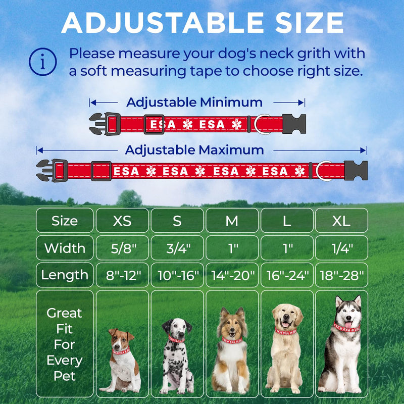 TECEUM Reflective Pet Collar – Red - ESA – XL – Basic Nylon Dog Collar – Quick Release Buckle – Fits Small, Medium and Large Dogs, Puppies, Cats – ESA & Service Dog Options