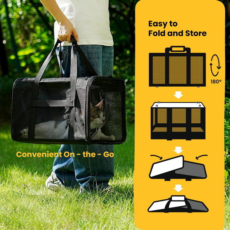 Cat Carrier Bag,Soft-Sided Pet Carriers for Dogs with 4-Sided Mesh,Airline Approved Cat Transport Carrier for Small&Medium Cats Kitten Puppy Up to 15Lb,Collapsible Cat Travel Carrier-M,Black M Black - PawsPlanet Australia