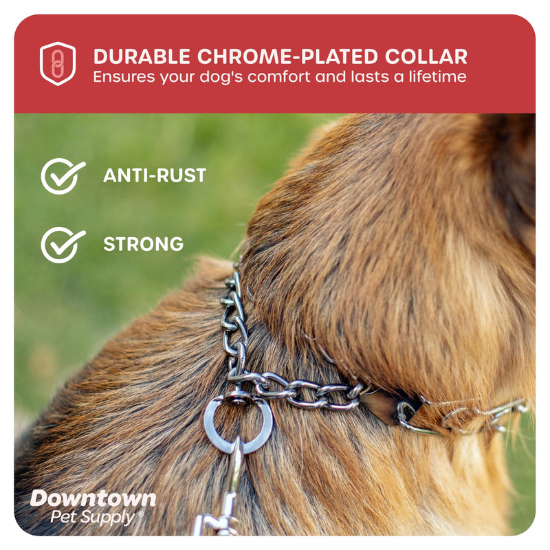 Downtown Pet Supply Chrome Plated Prong Collar for Dogs, Medium - Adjustable, No-Choke and No Pull Dog Collar with Removable Links - Pinch Collar for Dogs 20-40 lbs and 20" Neck Width Medium (Pack of 1) - PawsPlanet Australia