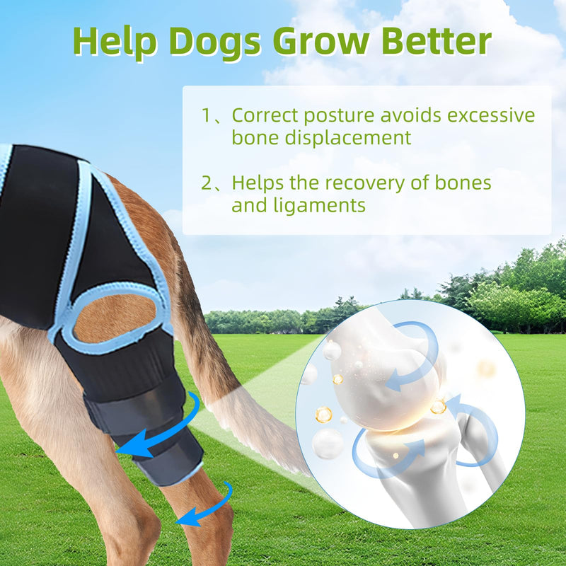 Dog ACL Brace with 10 Upgraded Support Chains - Provides Extra Support for Hind Leg, Torn ACL, and Joint Injuries - Adjustable & Comfortable Wrap for Canine Knee, Hock, and Ankle(Blue M Size)