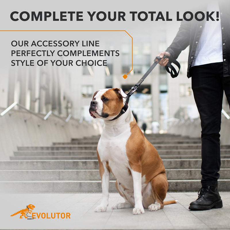 COLLAR Evolutor Extra Heavy Duty Dog Leash 4 Ft - Durable for Large, Medium and Small Dogs - Strong for Large Breeds - Walking (Black) 4 Ft x 1 in Black - PawsPlanet Australia