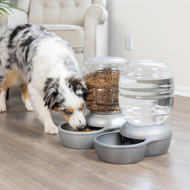 Petmate Replendish Feeder Automatic Cat and Dog Feeder, Pearl Peacock Blue, 10 LB, Made in USA - PawsPlanet Australia