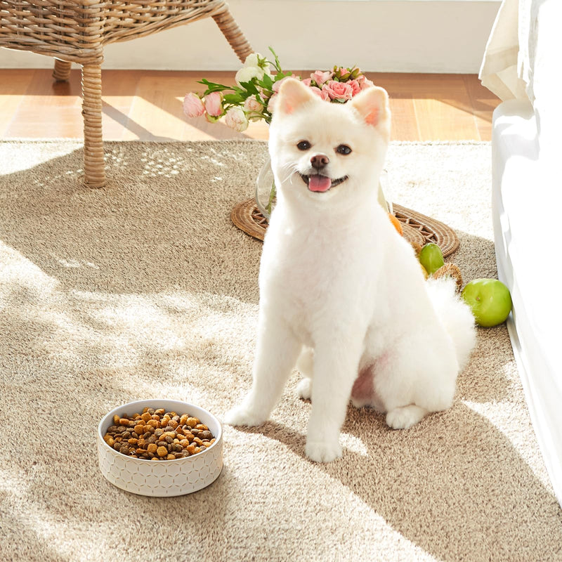 MALACASA Ceramic Dog Food Bowl, 1.5 Cups or 14oz Dog Food Water Dish for Small Breeds, Cats Pet Bowl Dishwasher & Microwave Safe, Honeycomb, Series Lydia - PawsPlanet Australia