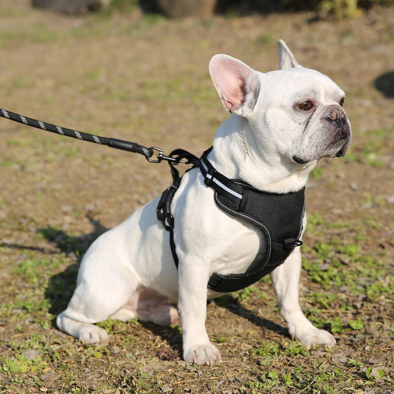 Amazon Basics No-Pull Dog Harness, Adjustable Soft Padded Vest with Reflective Stripes, X-Large, Black - PawsPlanet Australia