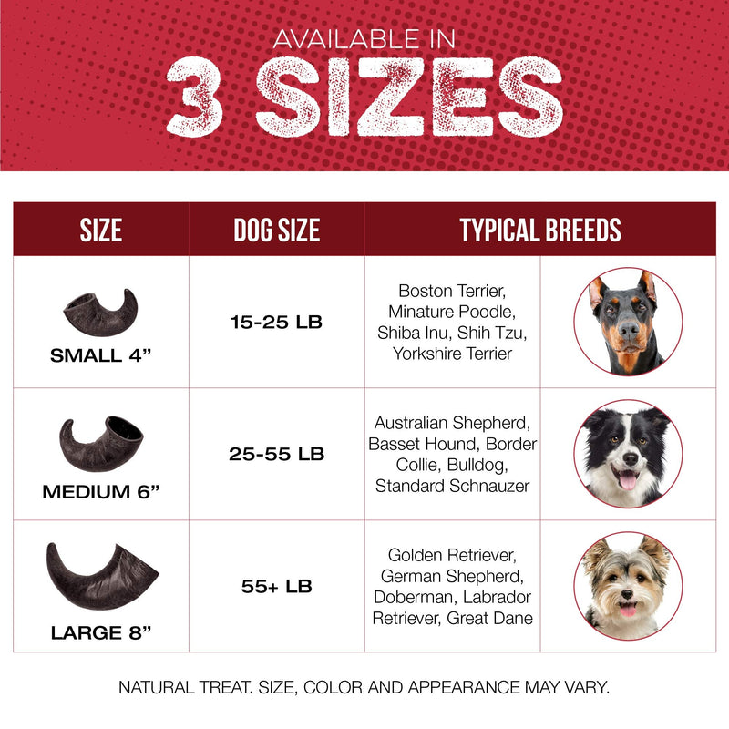 Water Buffalo Horn Dog Chew 4 Pack (Medium 6 Inch), Long-Lasting Natural Chews for Aggressive Chewers, Single-Ingredient, No Rawhide 4 Horns - Medium 6" - PawsPlanet Australia
