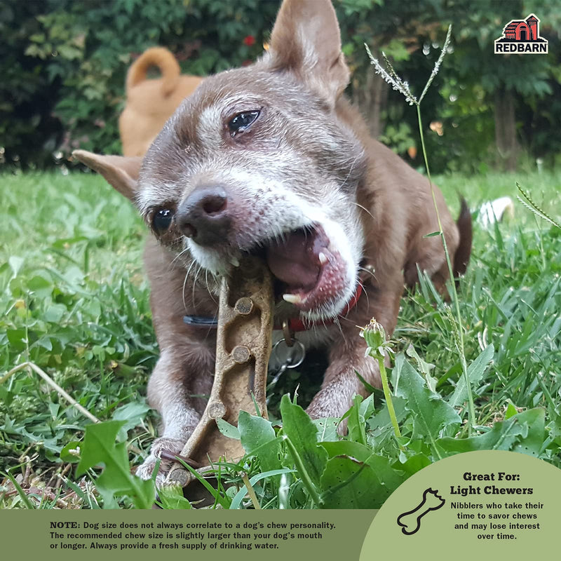 Redbarn Chew-A-Bulls (Size: Small, Shape: Brush, 24-Count (Pack of 1)) - PawsPlanet Australia
