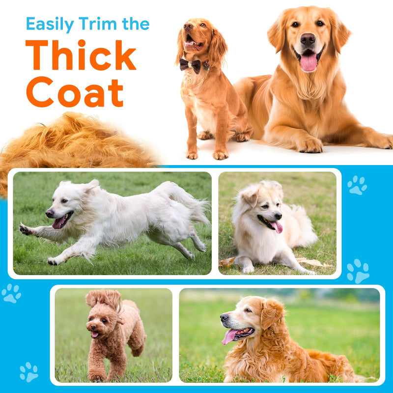 Dog Clippers for Grooming: Dog Grooming Kit Low Noise Electric Quiet Rechargeable Adjustable Clipper Comb Cordless Pet Hair Thick Coats Clippers Trimmers Set Dogs Hair Clippers for Dogs Cats Pets Black - PawsPlanet Australia
