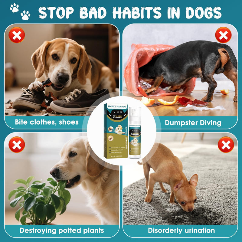 QHZ No Chew Spray for Dogs Bitter Apple Spray to Stop Chewing, Training Deterrent for Puppies & Adult Dogs, Protects Furniture, Shoes, Cords - PawsPlanet Australia