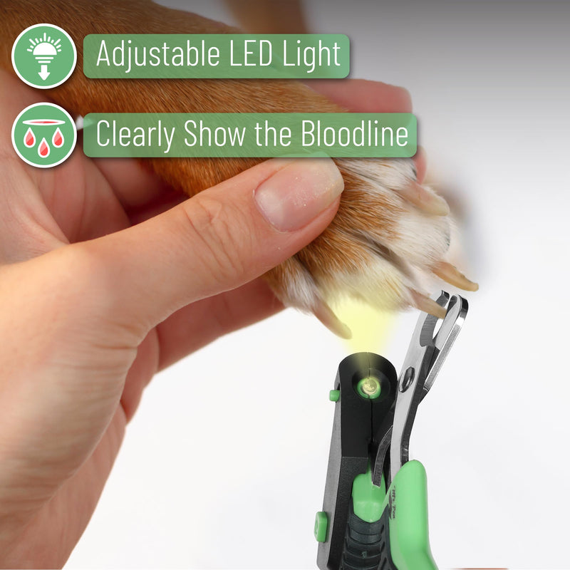 Mr. Pen- Cat Nail Clipper with Adjustable LED Light, Green Cat Nail Trimmer, Cat Claw Clippers, Cat Clippers for Nails, Pet Nail Clippers, Kitten Nail Clipper, Small Dog Nail Clipper Cat Claw Trimmer - PawsPlanet Australia