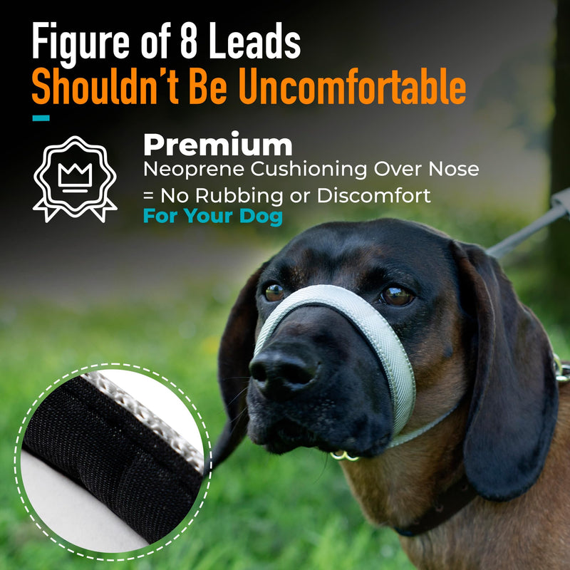 Total Pet Figure of 8 Dog Lead Flat with Anti Tangle Swivel Mechanism – Anti Pull Stop Dogs Pulling – Slip Leads Reflective with Padded Nose Support - (Grey, 210cm) Grey