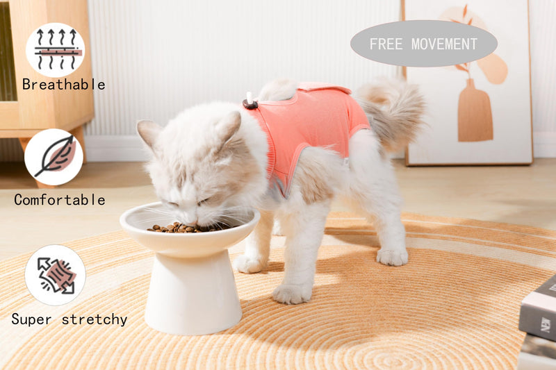 Cat Recovery Suit Female Kitten Cat Onesie for Cats After Surgery Female Spay Surgical Abdominal Wound Skin Diseases Cone Collar Soft Alternative Wear (Orange, M) orange Medium - PawsPlanet Australia