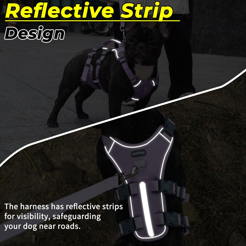 Escape Proof Dog Harness and Leash Set, Lightweight Dog Harness with Lift and Assist Handle, No Pull Reflective Pet Vest for Small Medium Dogs, Ideal for Puppy Walking and Training (Purple, M) Purple (Harness+Leash)