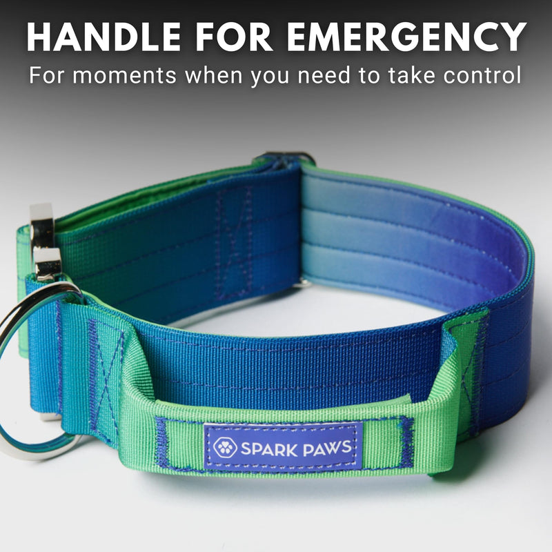 Spark Paws Tactical Dog Collar - Heavy Duty, Premium Quality, Thick and Durable for Large and Medium Dogs - Lime Wave - M M: 50-85 lbs [2" wide] - PawsPlanet Australia