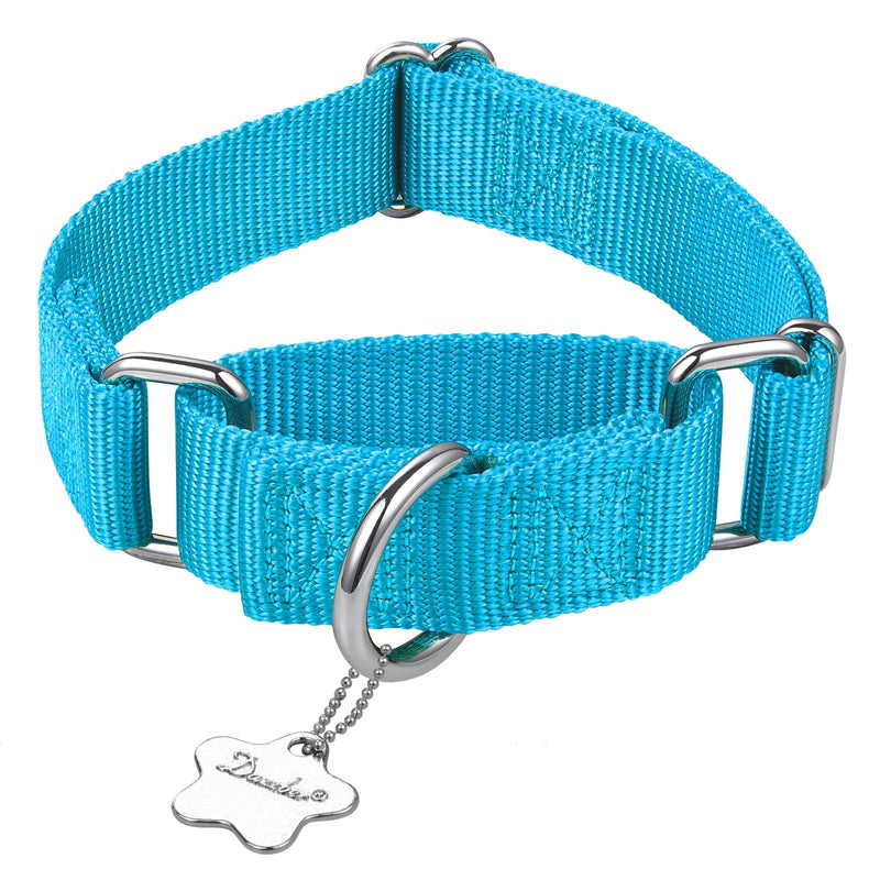 Martingale Dog Collar, No-Buckle Escape-Proof Design, Heavy-Duty Nylon and Welded D-Ring, Adjustable Training Collar for Medium Large Dogs (Turquoise, L) Large: 17" -25" Turquoise - PawsPlanet Australia