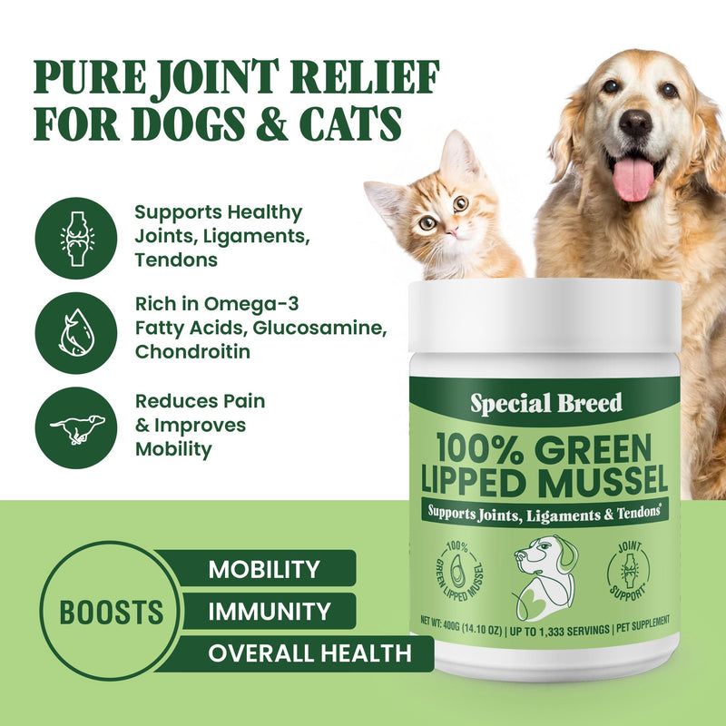 Special Breed Green Lipped Mussel Powder for Dogs & Cats - 100% New Zealand Green Lipped Mussels - Natural Hip & Joint Supplement for Joints, Tendons, Ligaments, Muscles - 400 Grams - 1,333 Servings