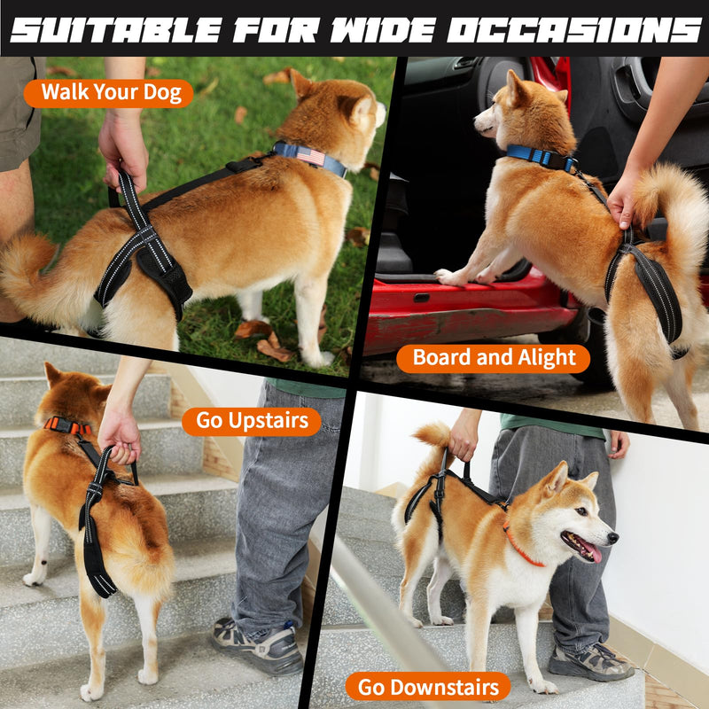 ROZKITCH Pet Dog Support Harness Rear Lifting Harness for Back Legs Reflective Dog Sling Vet Approved for Old Helps with Poor Stability Hind Legs, Joint Injuries Elderly Arthritis ACL Rehab Black M M(Leg Girth: 17.3-22")