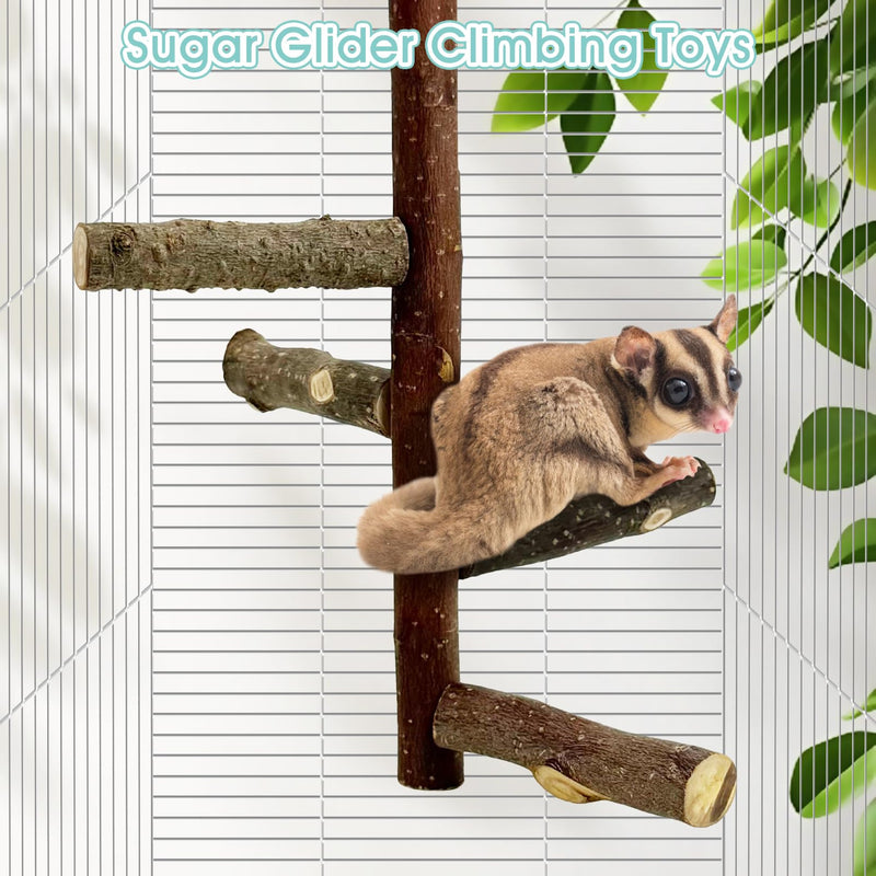 BNOSDM Sugar Glider Toy Natural Fruitwood Perch Stand Squirrel Hanging Wooden Climbing Pole Hamster Paw Grinding Perch Small Animal Cage Accessories for Chinchillas Rats Gerbil Natural Applewood - PawsPlanet Australia