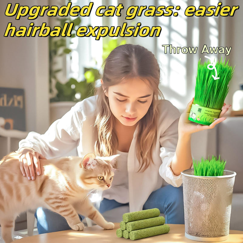 250g/8.82oz Cats Treat Cat Grass Teething Stick Kitten Toy Catnip Toys for Hairball Removal Freeze Dried Chew Dental Food for Indoor Kitty Lickable Edible Snack for Eliminate Fur Digestion Chicken 250g/8.82oz