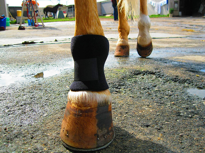 Bedsore Boots for Horses -Equine Leg Protection for Pressure Sores & Ulcers- Neoprene Stall Boots, Heal Wounds Faster, Easy On/Off, Washable & Air-Dry - PawsPlanet Australia