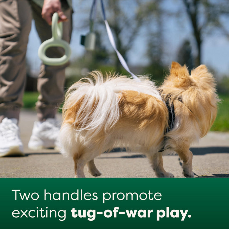Earth Rated Tug of War Dog Toy, Interactive Pull Toy for Adult and Puppy Dogs, Ergonomic Grip, Natural Rubber, Small, Green - PawsPlanet Australia