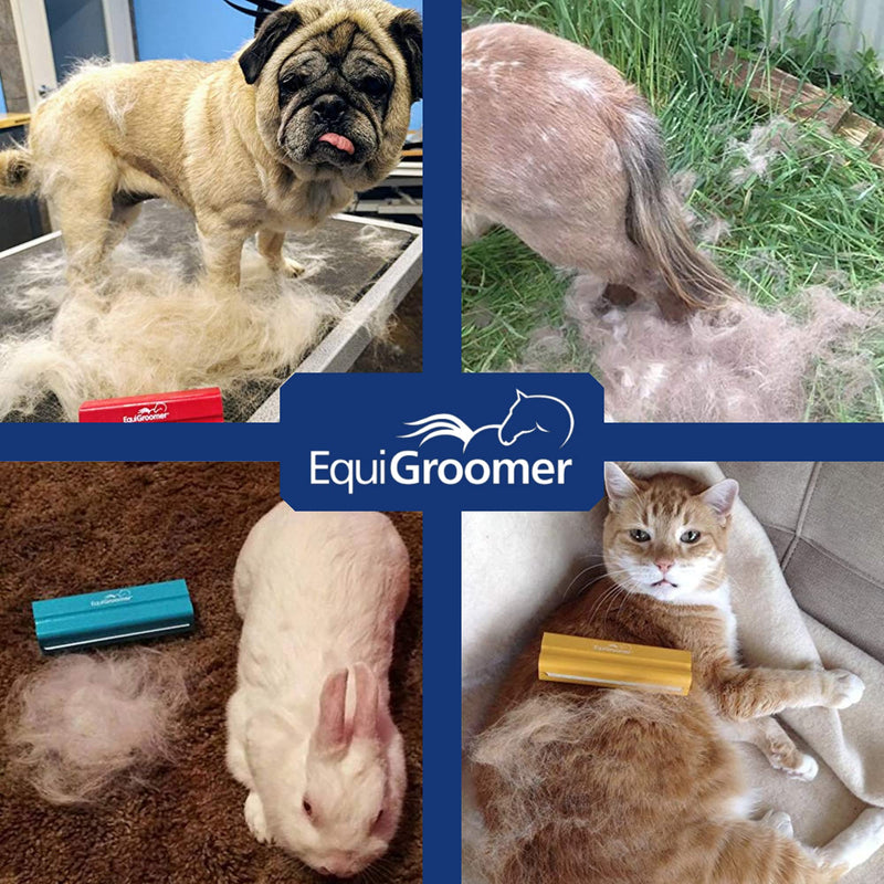 EasyGroomer Deshedding Brush for Dogs Cats | Purple | Undercoat Tool for Large and Small Pets | Comb Removes Loose Dirt, Hair and Fur | Perfect Clean for Short and Long Hair Grooming Shedding 5 Inch - PawsPlanet Australia