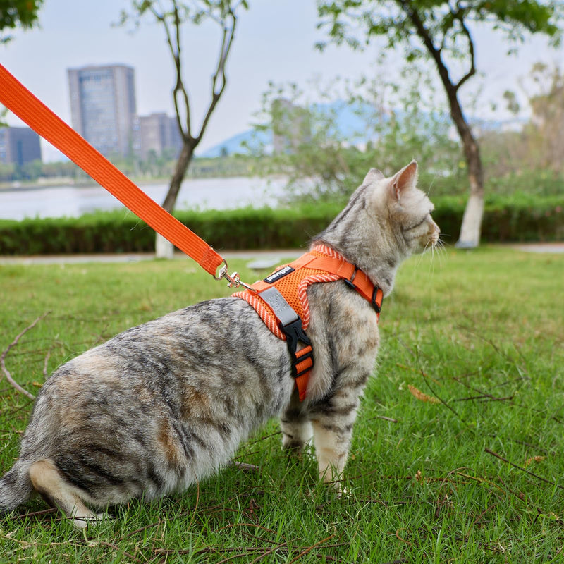 Cat Harness and Leash Escape Proof Large Kitten Harness Ragdoll Cat Vest for Walking Travel, Orange, L