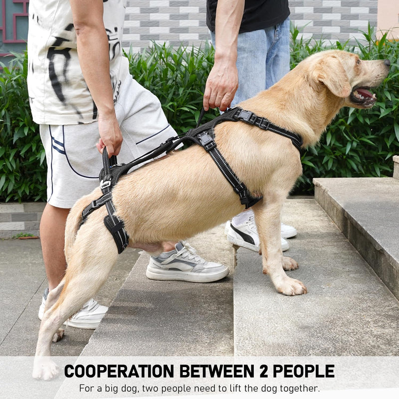 COODEO Mobility Dog Lift Harness, Support Sling & Walking Sling for Dogs, Pet Rear Leg Rehabilitation Support Vest, Dog Carrier for Senior Dogs with Joint Injuries, Arthritis, Up Stair (Black, XL) Black