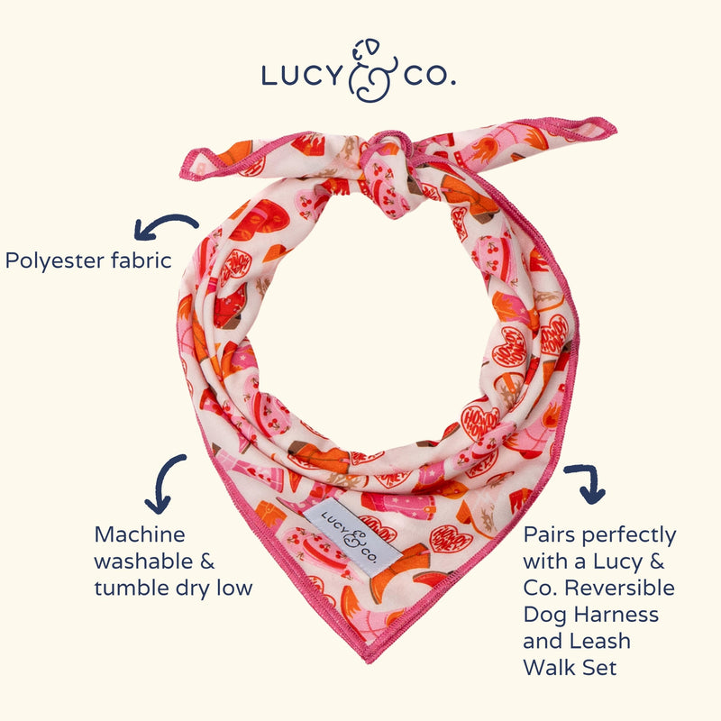 Lucy & Co. Howdy Honey Adjustable Dog Collar- Cute Designer Pet Collar for Small, Medium, Large Dogs- Buckle Closure Dog Accessories, Large, Country Print - PawsPlanet Australia