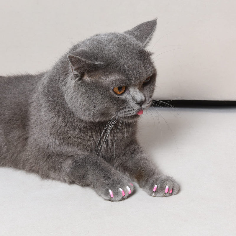 Kitty Caps Nail Caps for Cats | White with Pink Tips & Clear with Pink Glitter, 40 Count, Small - 3 Pack | Safe, Stylish & Humane Alternative to Declawing | Stops Snags and Scratches, (FF9317PCS3) - PawsPlanet Australia