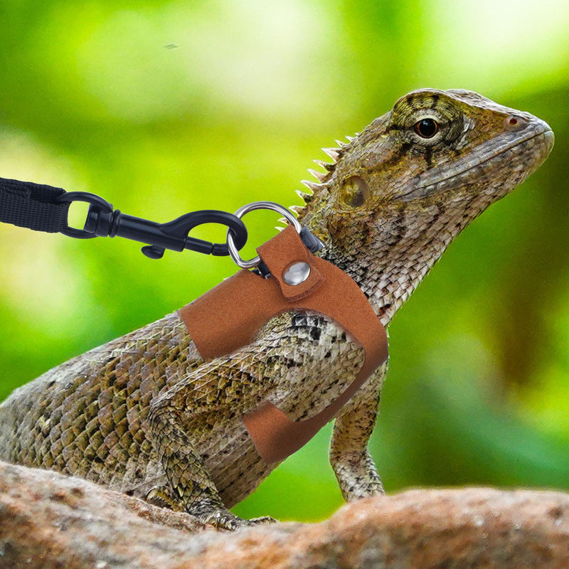 3 Pcs Bearded Dragon Harnesses, Adjustable Soft Leather Lizard Harness with Retractable Traction Rope Small Animal Walking Vest Leash Accessories Set for Reptiles Squirrel Lizard Chinchilla - PawsPlanet Australia