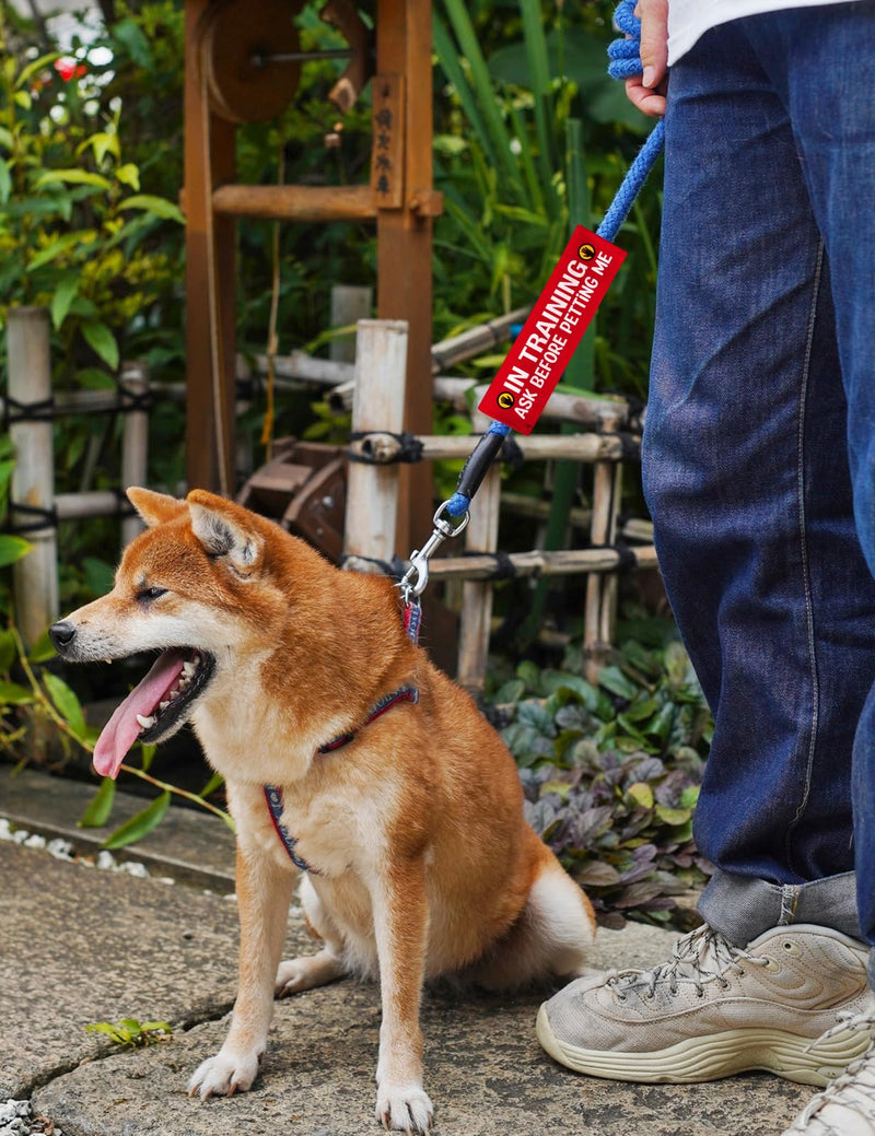 Advivio in Training Ask Before Petting Funny Dog Leash Sleeve, Service Dog Alert Hanging ID Patch Tag, in Training Leash Wrap for Pet Birthday Gift - PawsPlanet Australia