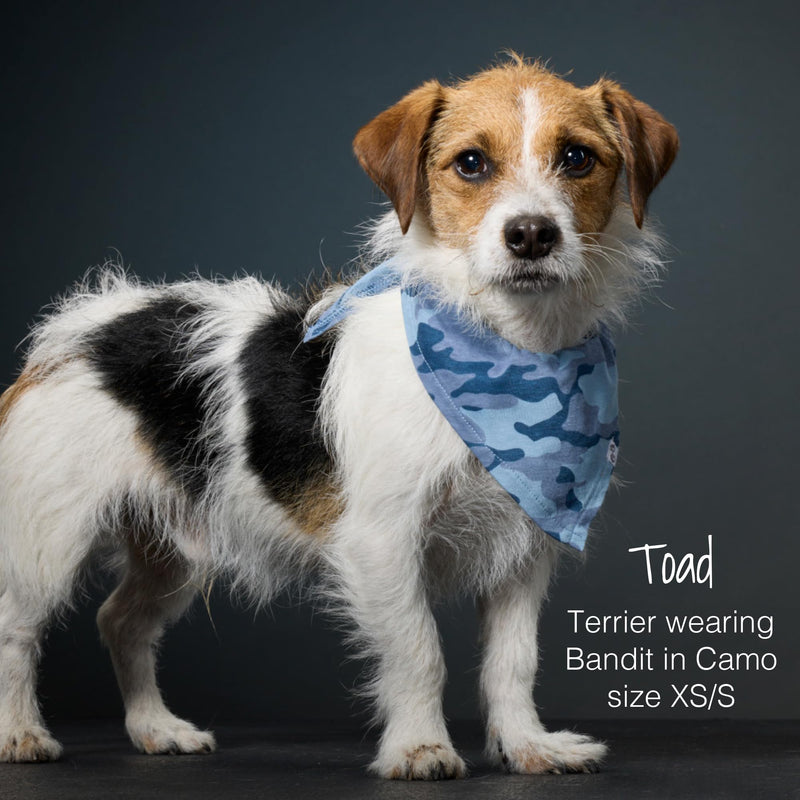 Bandit - THE PET Bandana 100% Organic Cotton Pet Bandanas Clothes for Small, Medium, Large Dogs, 3-Pack Pink Camo, Medium/X-Large - PawsPlanet Australia